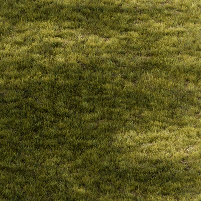 Short Grass Set 29 — Ver 4
