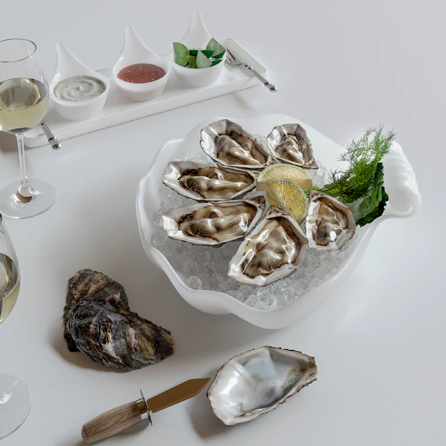 Oysters on a platter — Descargar