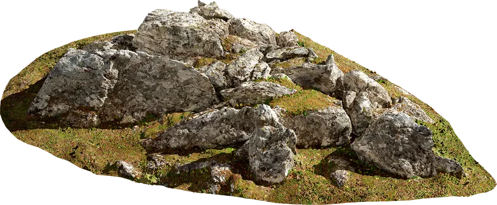 tundra mossy boulder 006 — Descargar