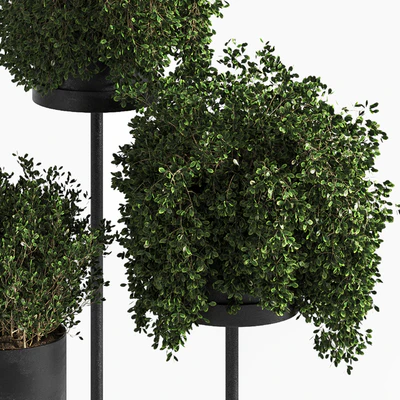 Indoor Plant Set 03 — Ver 2