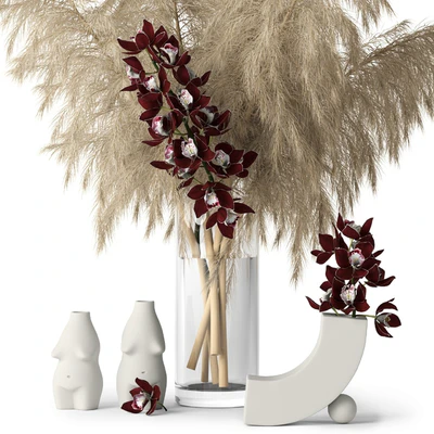 Pampas grass and Cymbidium — Вид 3