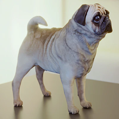 Cute Pug (vray + corona) — Ver 2