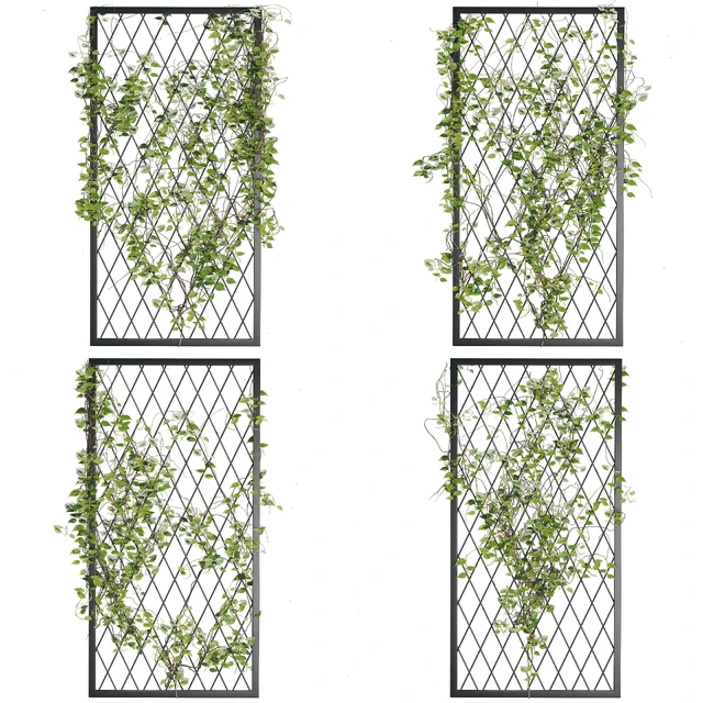Ivy Plants 04 — Скачать