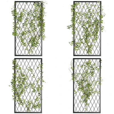 Ivy Plants 04 — Вид 1