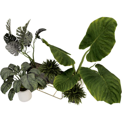 Plant Collection Set 07 — Вид 5