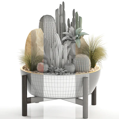 Plant collection 306. Cactus set. cacti, round cactus, flower bed, japanese, cereus, Barrel cactus, desert plants, stones — Ver 2