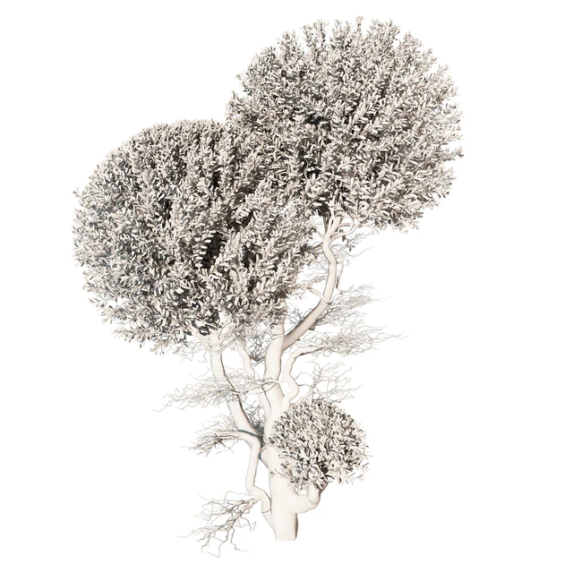 tree vol 17 — Descargar