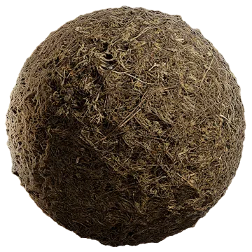 grass dried 035 — Descargar