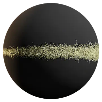 spanish moss 015 — Descargar