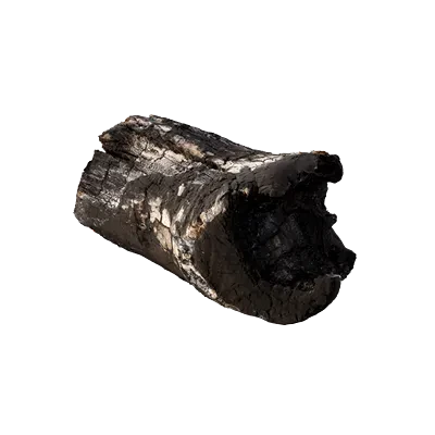 burnt firewood 009 — Descargar