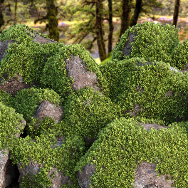 Mossy rock garden collection vol 140 — Descargar