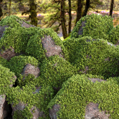 Mossy rock garden collection vol 140 — Ver 3