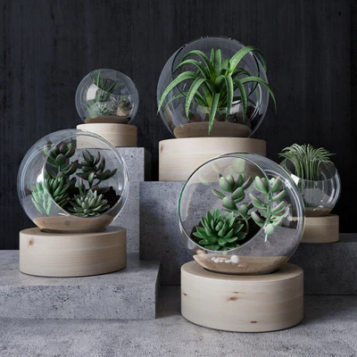 Florarium — Ver 1