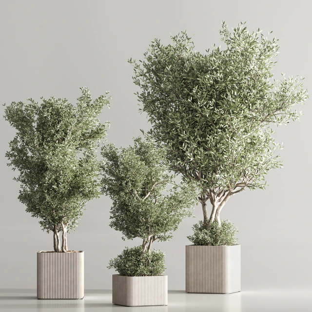 Indoor Plant Set 82 — Descargar