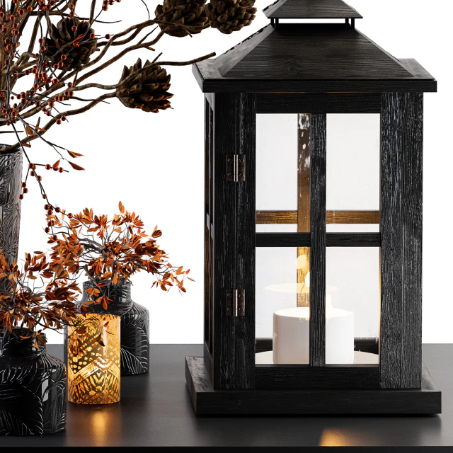 Decorative Set Berry and Branches with lantern — Скачать