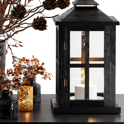 Decorative Set Berry and Branches with lantern — Вид 3