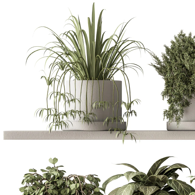 indoor Plant Set 281 - Plant pot on shelves — Descargar