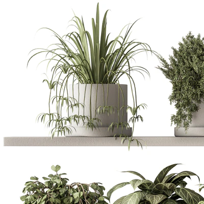 indoor Plant Set 281 - Plant pot on shelves — Ver 3