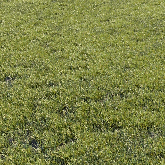Grass kit 1 — Скачать