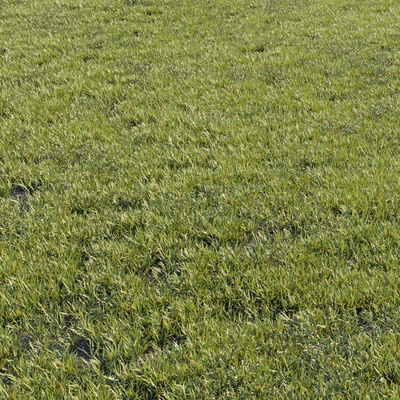 Grass kit 1 — Вид 1