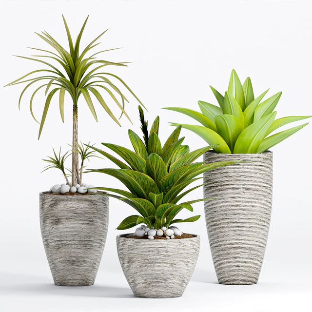 PLANT -13 — Скачать