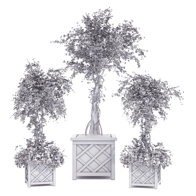 spring outdoor plants 03 — Скачать