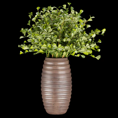 Collection plant vol 262 — Вид 4