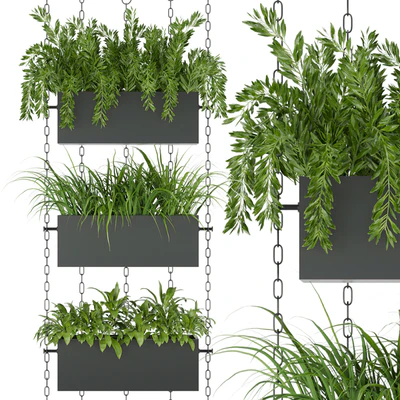 Collection plant vol 85 — Вид 1