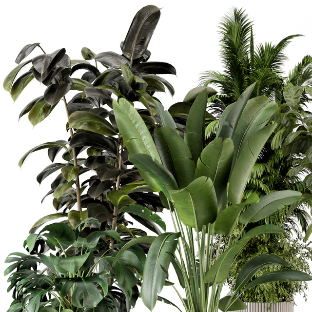 Indoor Plants in Ferm Living Bau Pot Large - Set 734 — Descargar