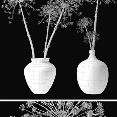 Old heracleum — Вид 2