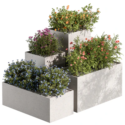 Plant Box - Outdoor Plants Flowers 534 — Вид 1
