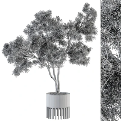 indoor Plant Set 337 - Tree in Gold pot — Вид 4