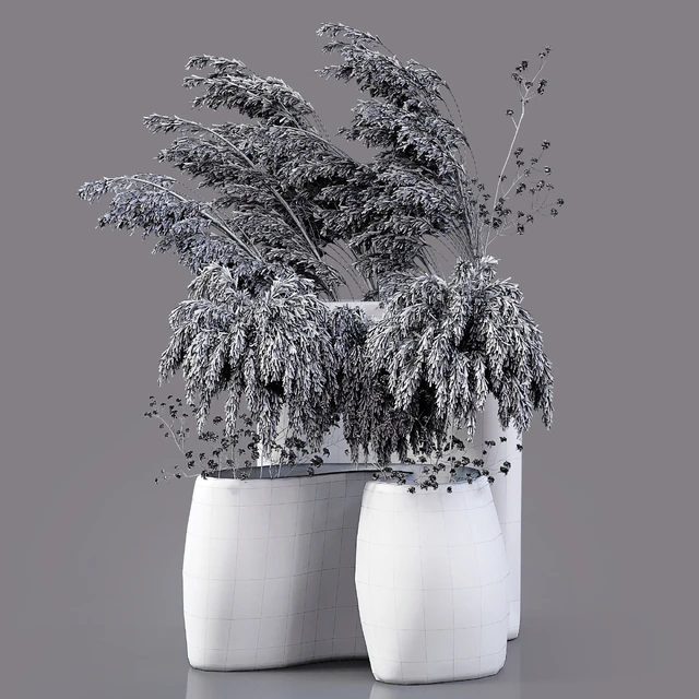 Dry Plants — Скачать