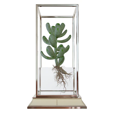 Cactus in a vase on a stand — Ver 2