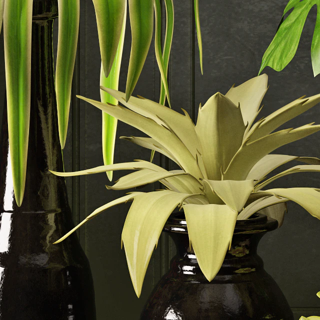 Plant Arrangement — Скачать