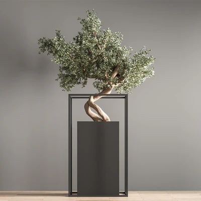 indoor plant bonsai set 24 — Ver 6
