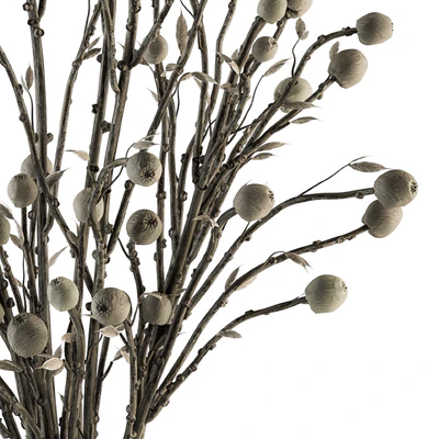 Bouquet 32 - Dried Plant Papavet Bouquet — Ver 3