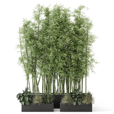 Indoor Plants Bamboo Set in rusty Concrete Pots - Set 1894 — Ver 5