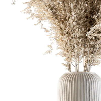 Dry plants 36 - Dried Plant Pampas — Ver 4