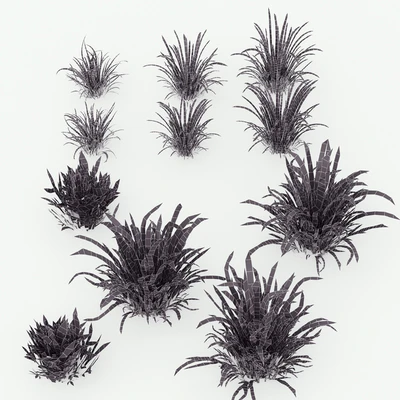 Meadow Lawn Grassland Set 002 — Ver 4