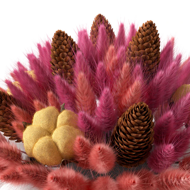 Lagurus bouquet — Descargar