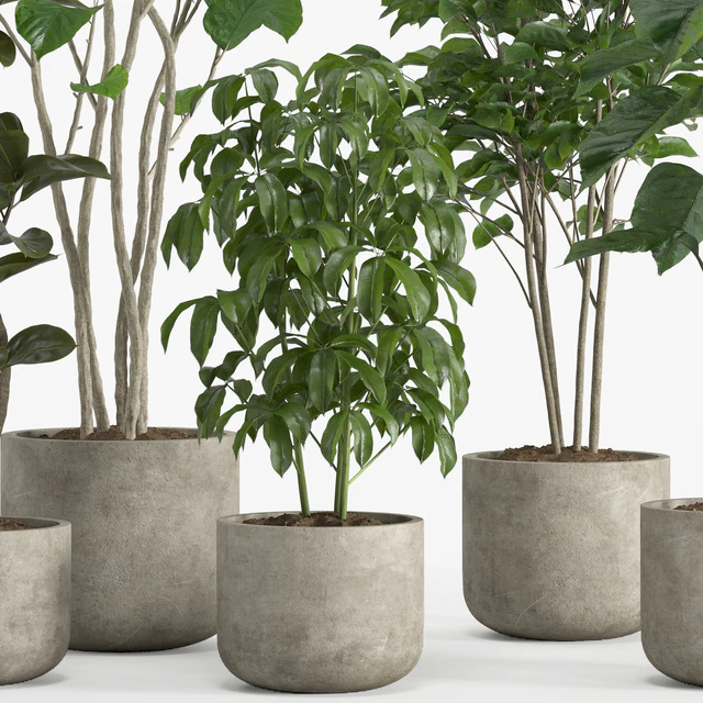 indoor plant set 017 — Скачать