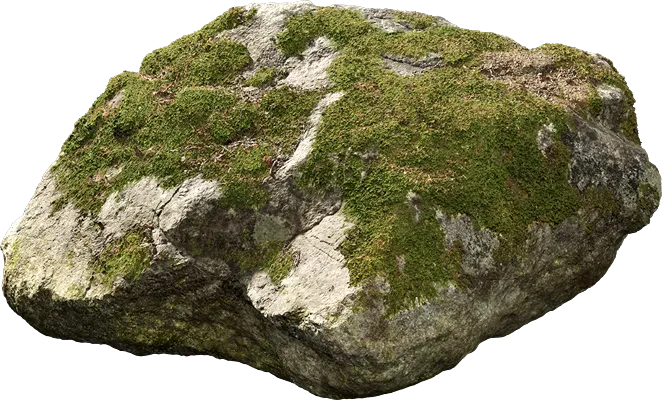 nordic forest rock small 003 — Descargar