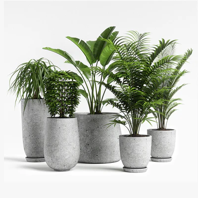 plants set 04 — Ver 1