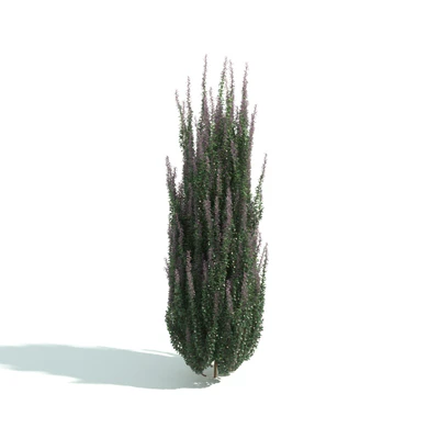 hedges 058 — Descargar
