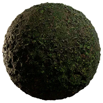 wild grass 030 — Descargar