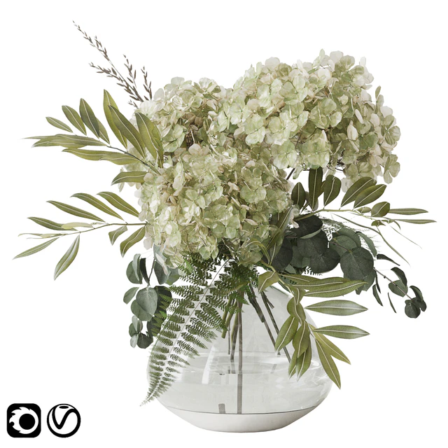Green hydrangea — Descargar