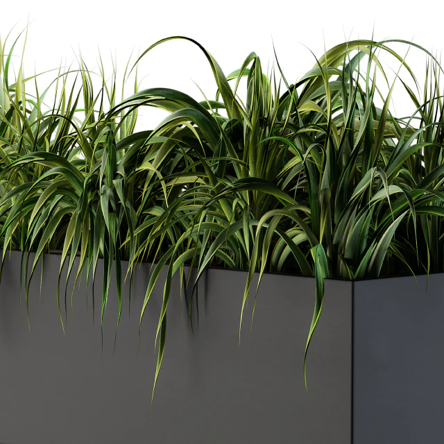 Ranch Grass plants in box - Outdoor Set 63 — Descargar