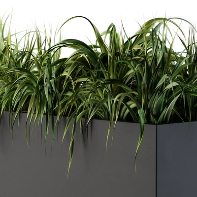 Ranch Grass plants in box - Outdoor Set 63 — Ver 2