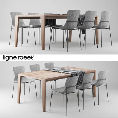 Ligne Roset SpiritOfForest Table and Ettoriano Chair — Ver 1